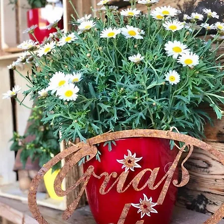 Heidelberg - Fam Fuchs Gæstehus Hopfgarten im Brixental