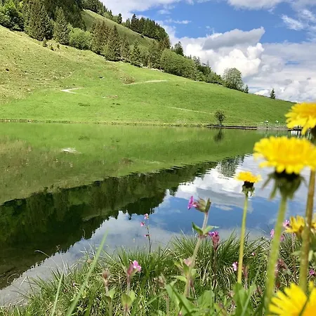 Heidelberg - Fam Fuchs 3* Hopfgarten im Brixental