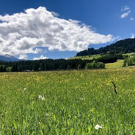 Heidelberg - Fam Fuchs Gæstehus 3*