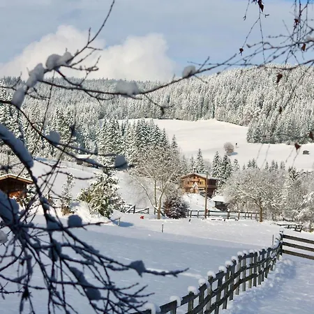 Heidelberg - Fam Fuchs Gæstehus 3*