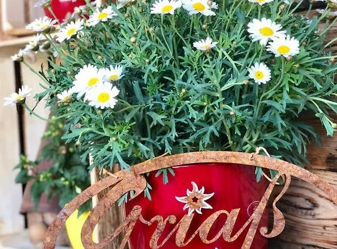 Heidelberg - Fam Fuchs 招待所 布里克森谷地霍普夫加尔滕