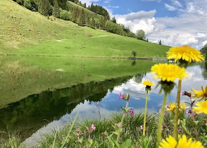 Heidelberg - Fam Fuchs 3* 布里克森谷地霍普夫加尔滕