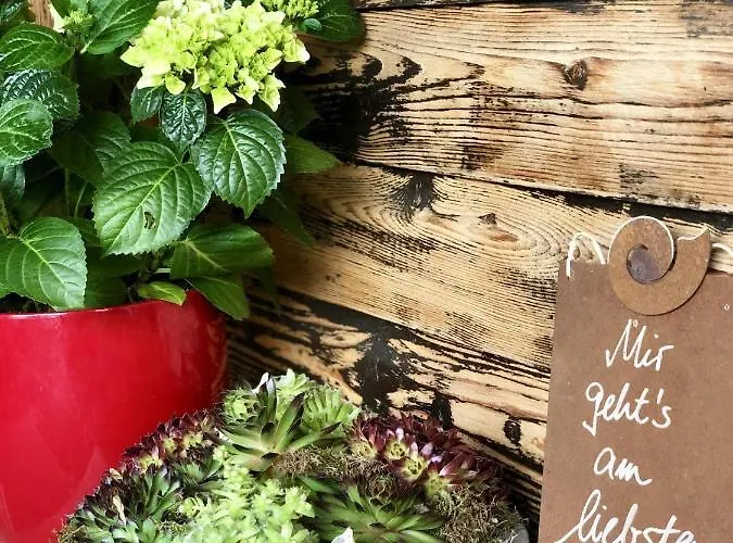 招待所 Heidelberg - Fam Fuchs