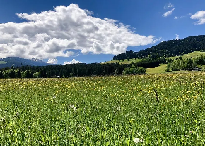 Heidelberg - Fam Fuchs 招待所 3*