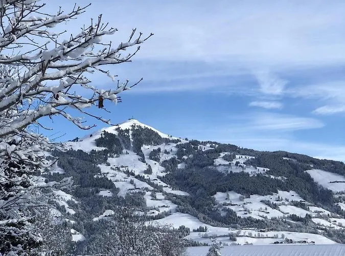 Heidelberg - Fam Fuchs 招待所 3*