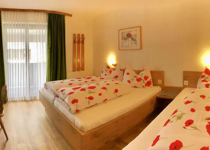 Heidelberg - Fam Fuchs 布里克森谷地霍普夫加尔滕