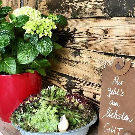 Pensjonat Heidelberg - Fam Fuchs