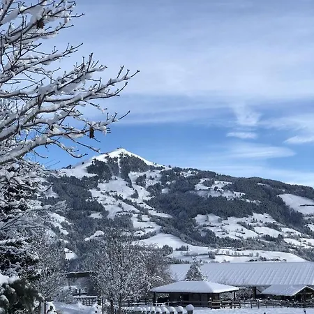 Heidelberg - Fam Fuchs Pensjonat 3*